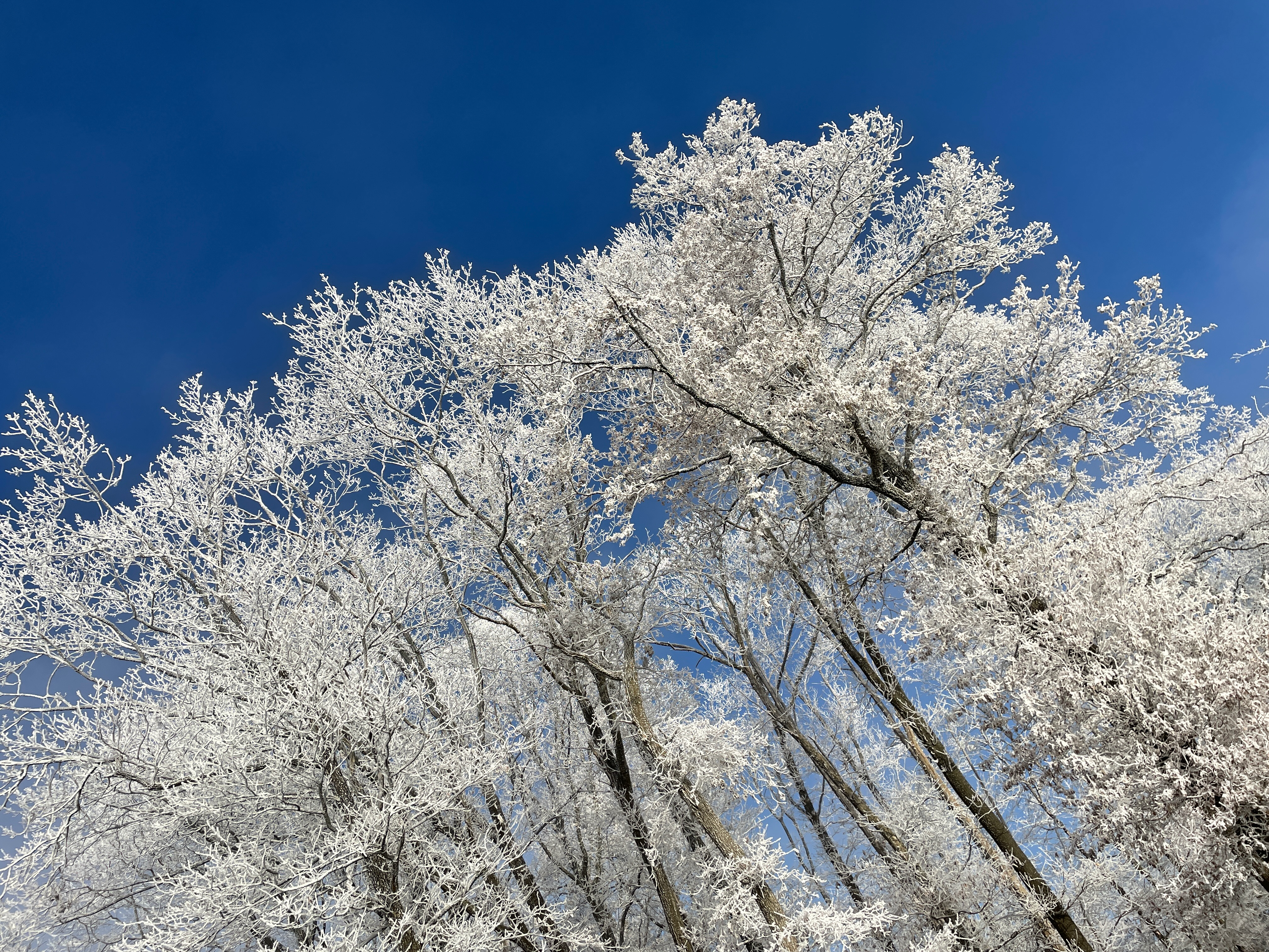 ancrage et légèreté